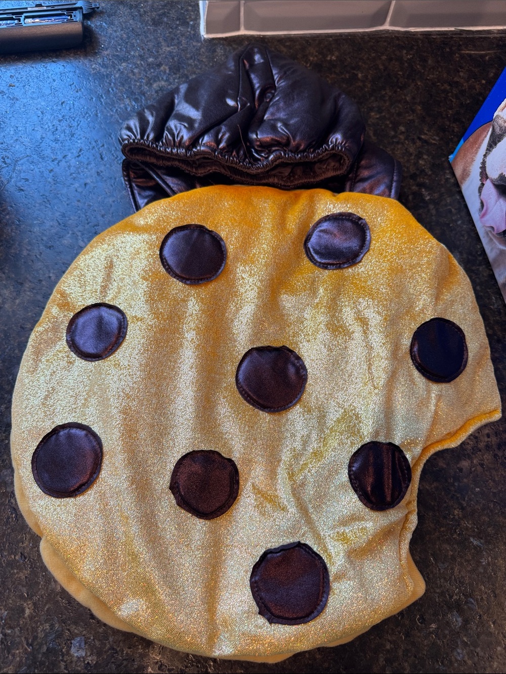 Pottery barn kids Gold Chocolate Chip Cookie costume